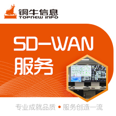 SD-WAN服务